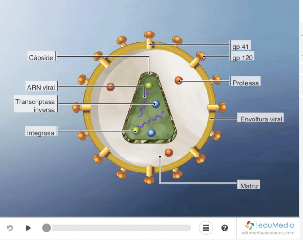 Edumedia portal de ciencias