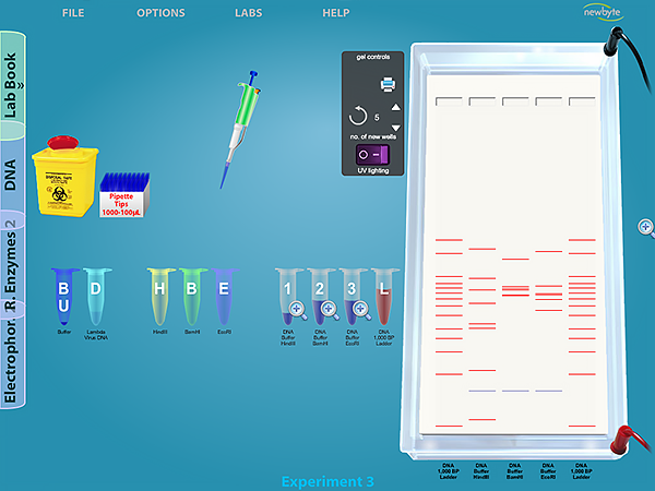 Laboratorio de ADN Newbyte